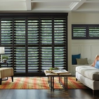 Hunter Douglas NewStyle Shuuters