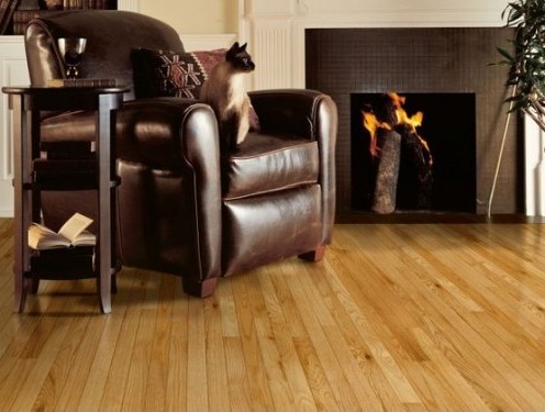 Armstrong Laminate Flooring 