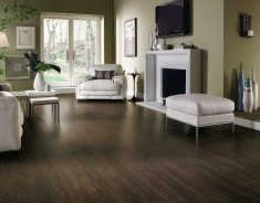 Armstrong Laminate Flooring 
